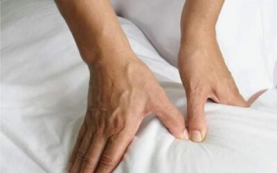 Terapeuta Zen Shiatsu